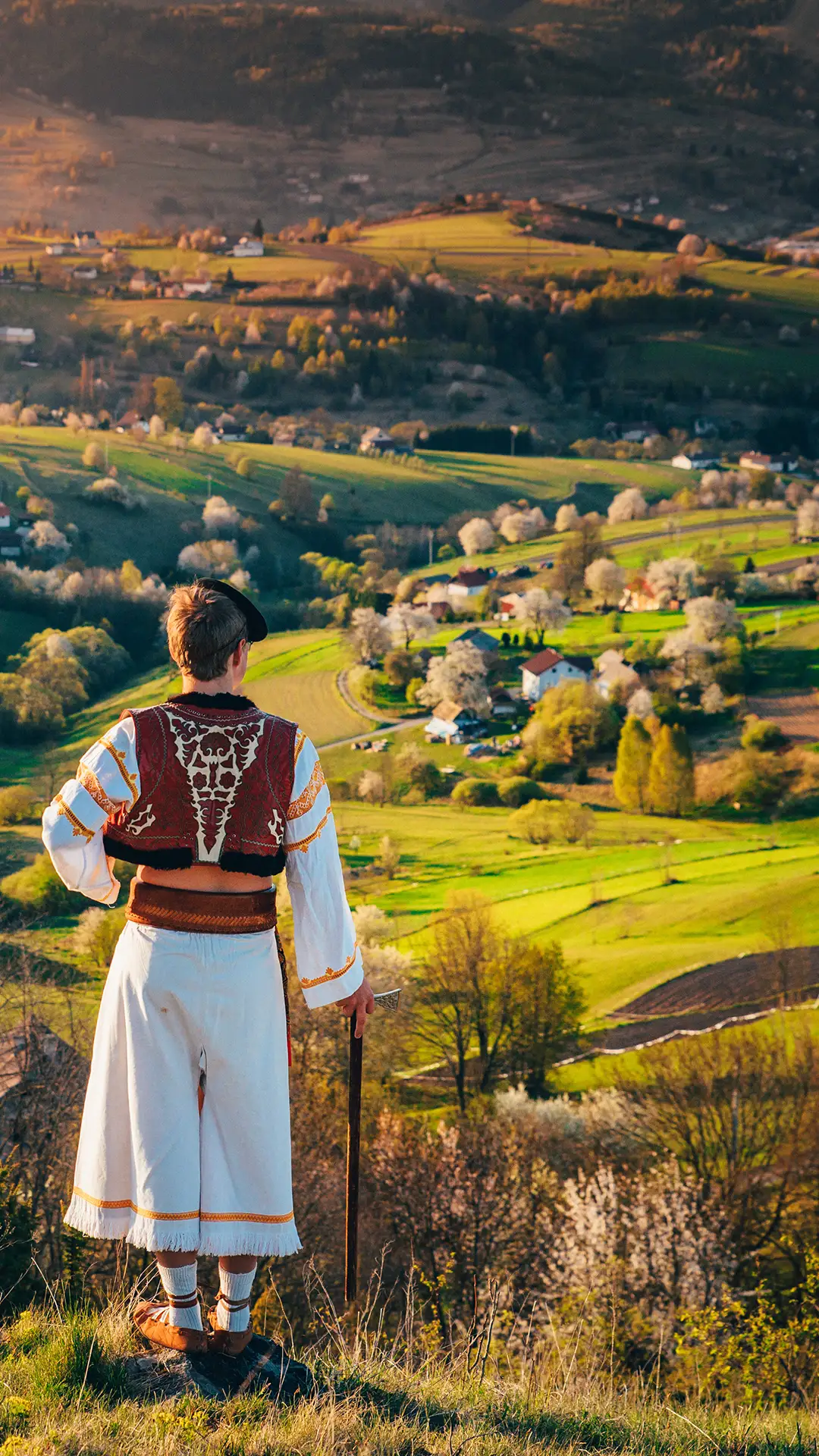 A young man in a Slovak folk costume looks at the spring landscape in the village of Hrinova in Slovakia. Rising sun and spring flowering trees in the background.