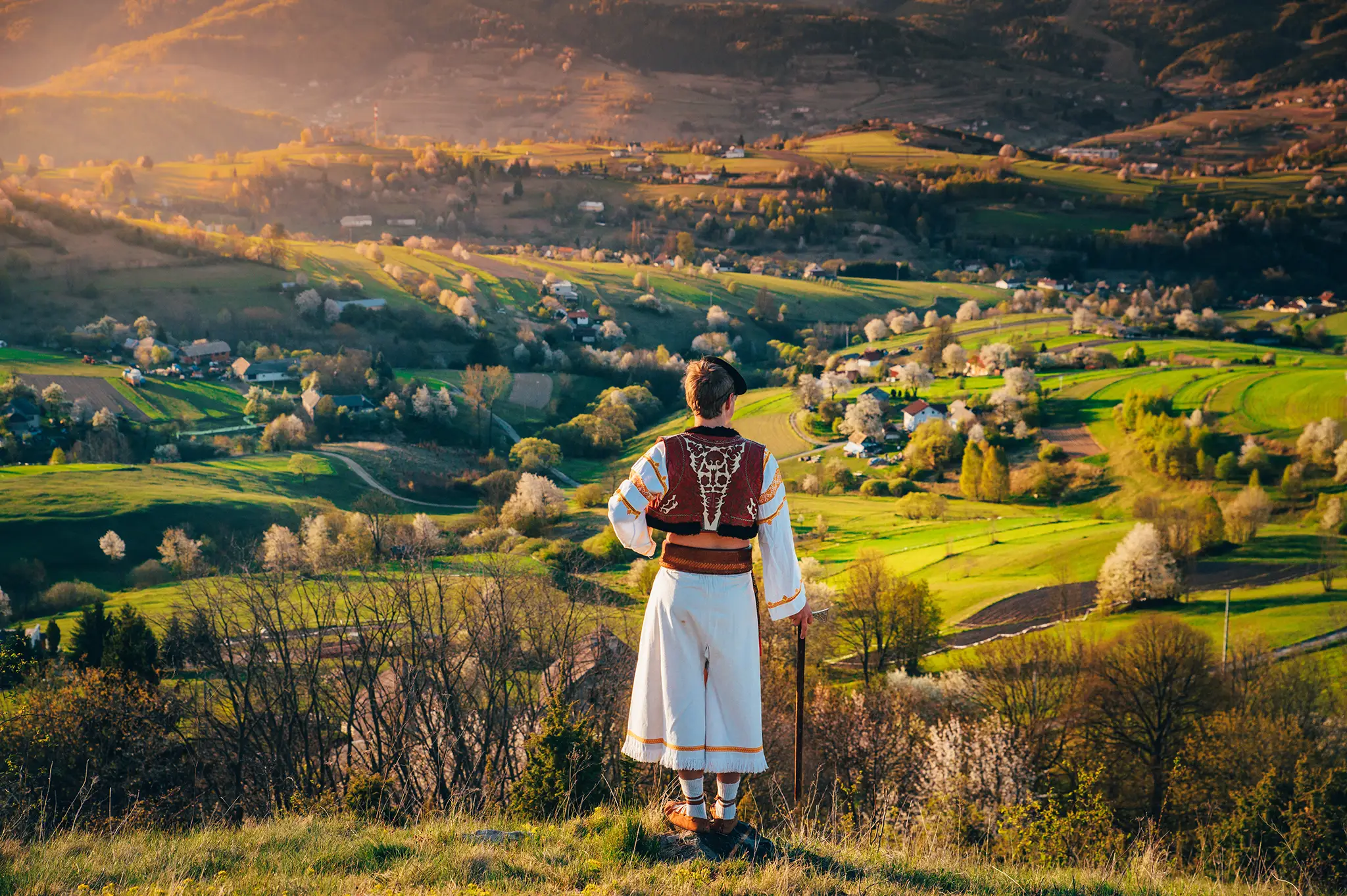 A young man in a Slovak folk costume looks at the spring landscape in the village of Hrinova in Slovakia. Rising sun and spring flowering trees in the background.