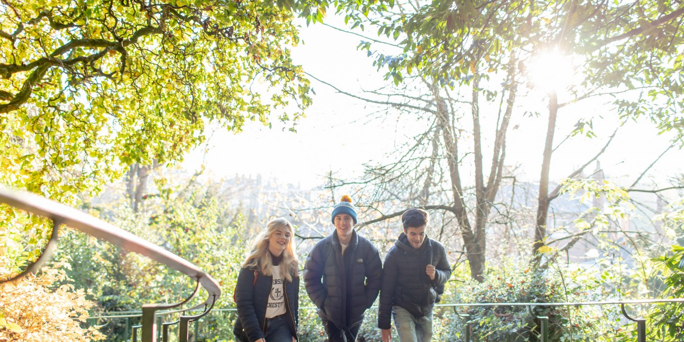 Three students enjoying a woodland walk