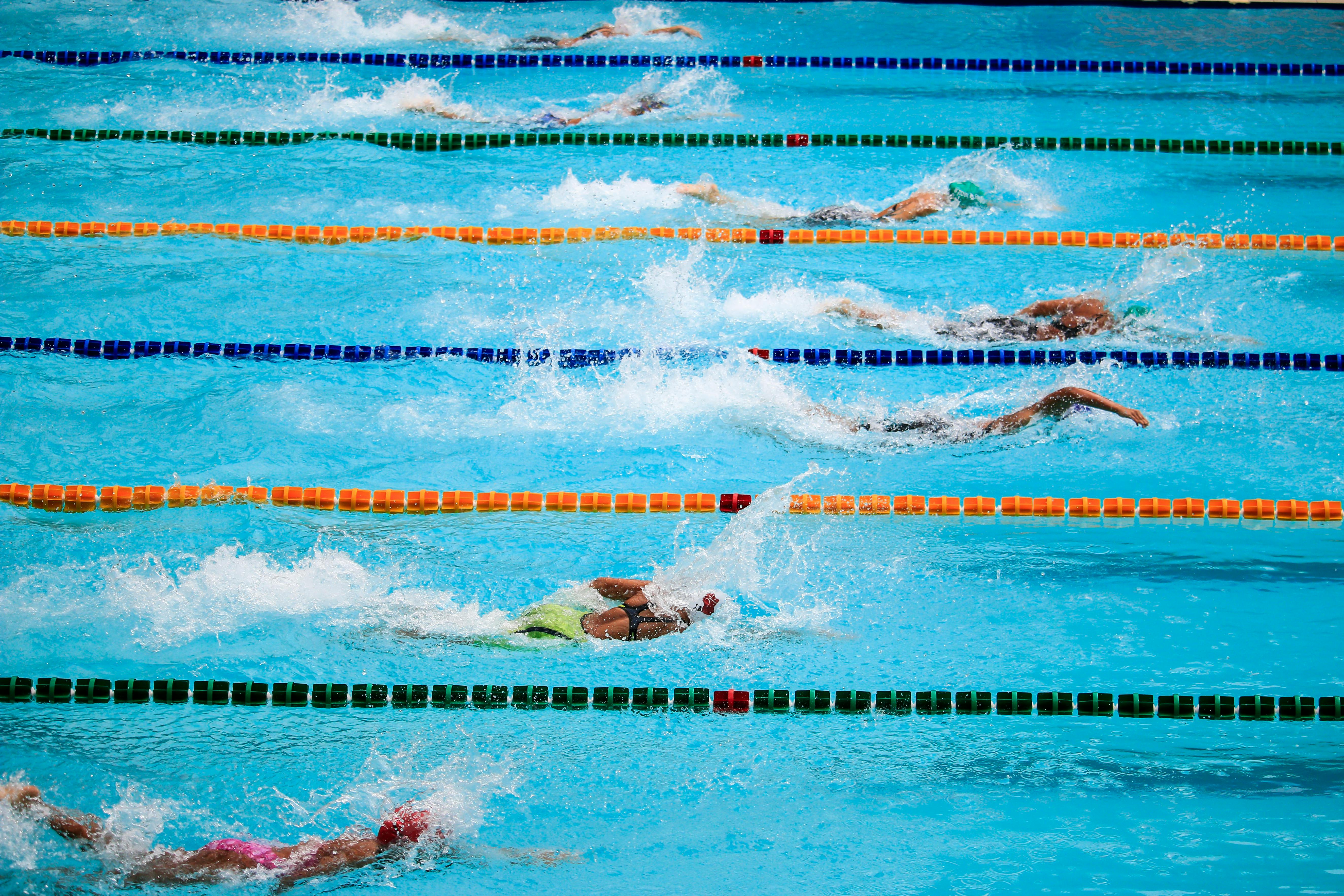 Swimmers in a race.