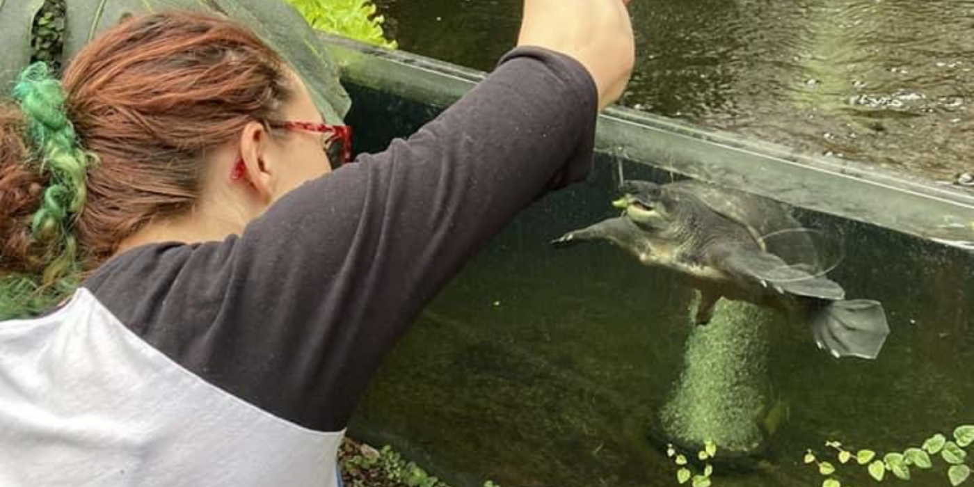 Zoology student feeds a turtle in a tank