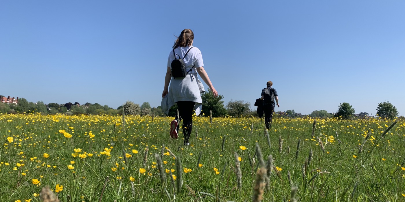 Two students walking into the distance across a sunny meadow