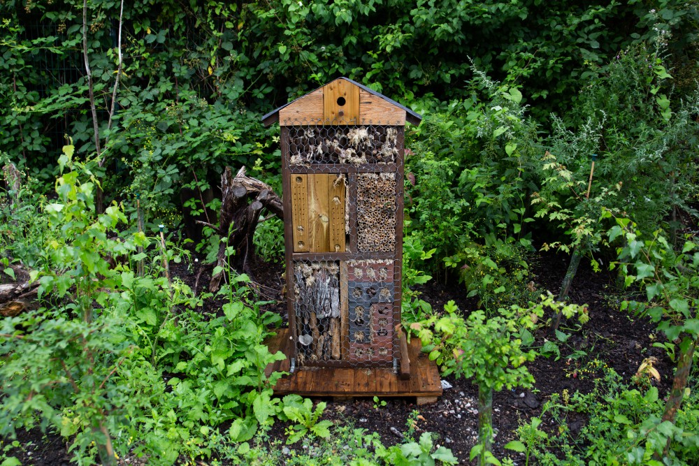 A bug hotel surrounded by trees and shrubs
