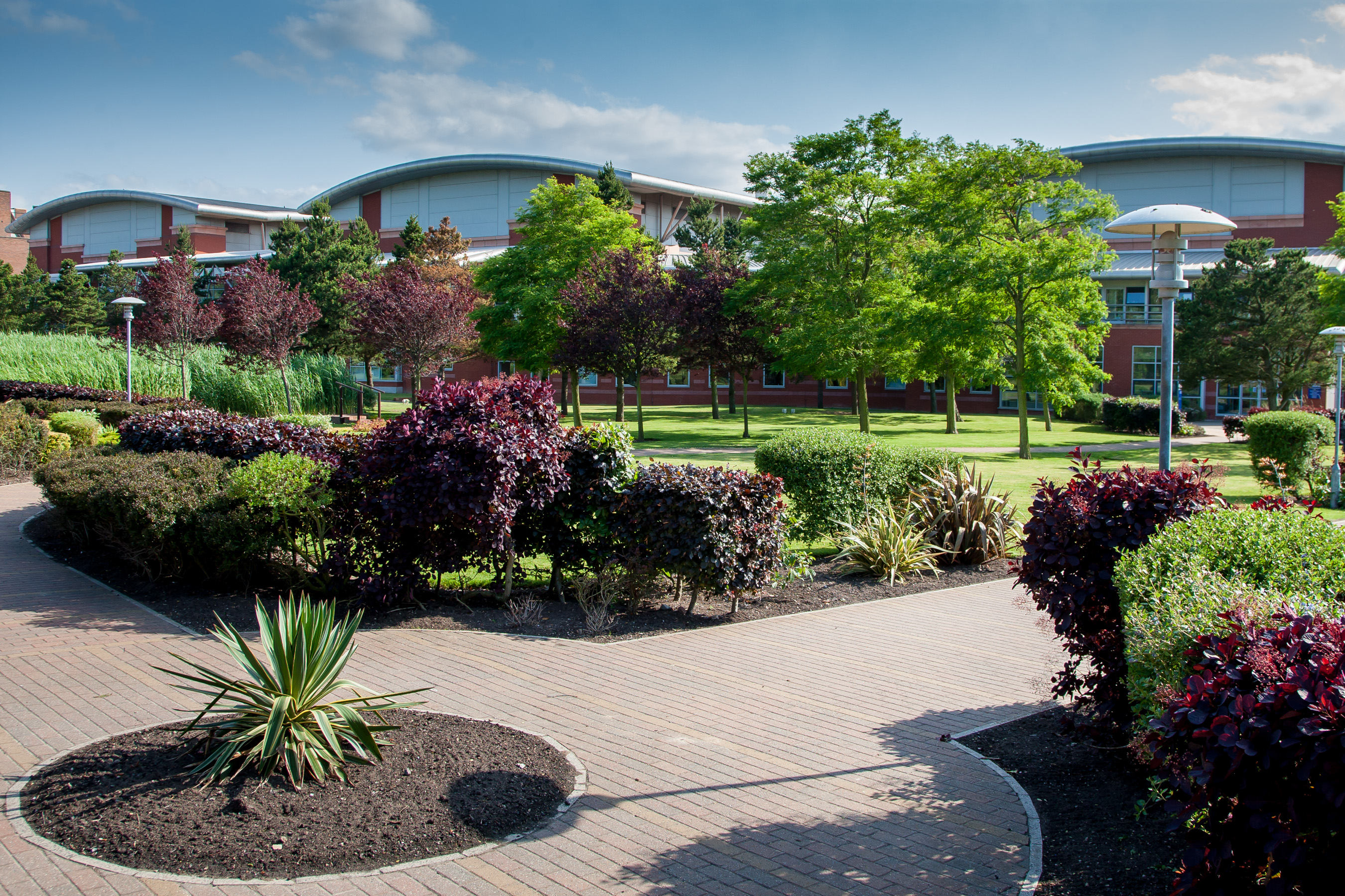 Exterior photograph of the landscaping at Thornton Science Park