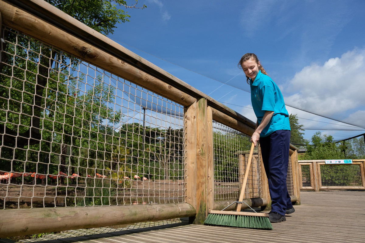 A female student working outdoors next to animal enclosure at Chester Zoo.